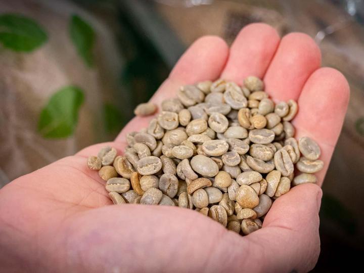 Coffee pub Venus Barista à Vichy Graine à café